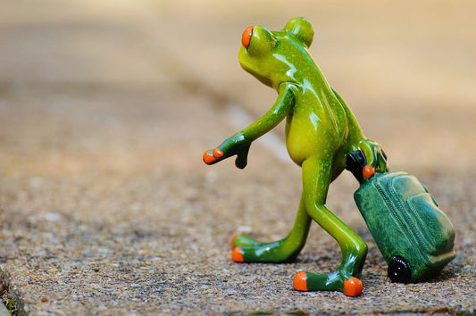 Packing Smarter, Not Heavier: The Ultimate Minimalist Travel Checklist
