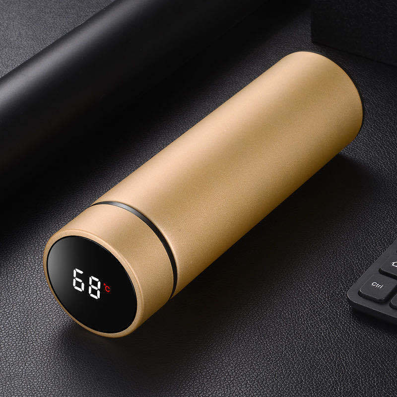 450 ml Stainless Steel Vacuum Insulated Bottle for Traveling - Chic Grande